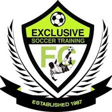 Exclusive Soccer Training heritage crest